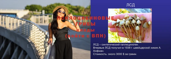 mdpv Бородино