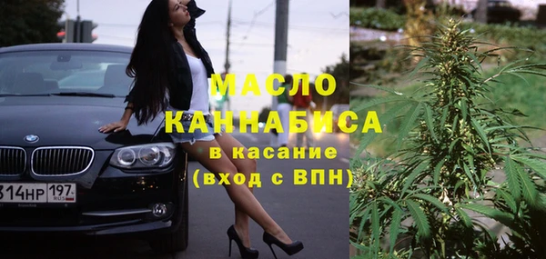 mdpv Бородино