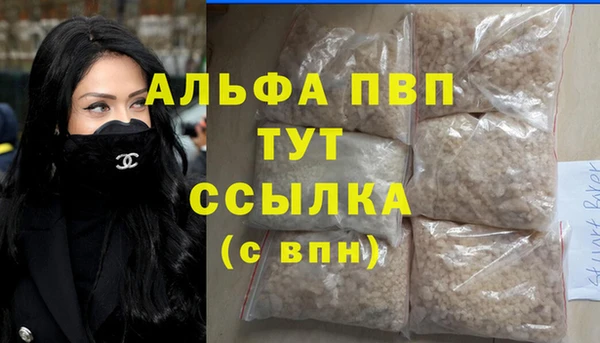 mdpv Бородино