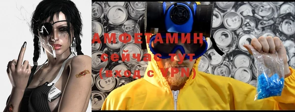 mdpv Бородино