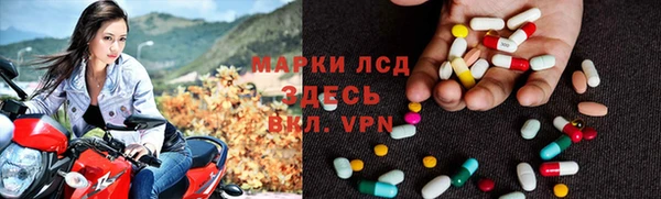 mdpv Бородино
