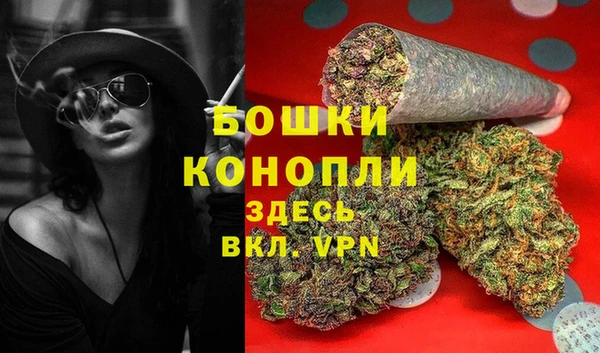 mdpv Бородино